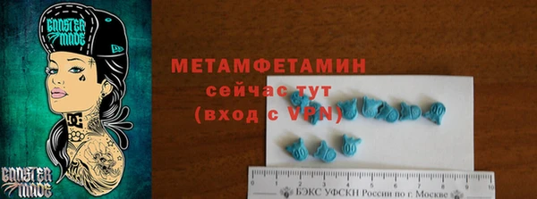 сатива Долгопрудный