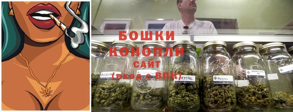 соль ск Надым
